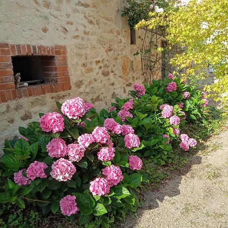 L'Amalgam' Bed & Breakfast Ainay-le-Vieil Dış mekan fotoğraf