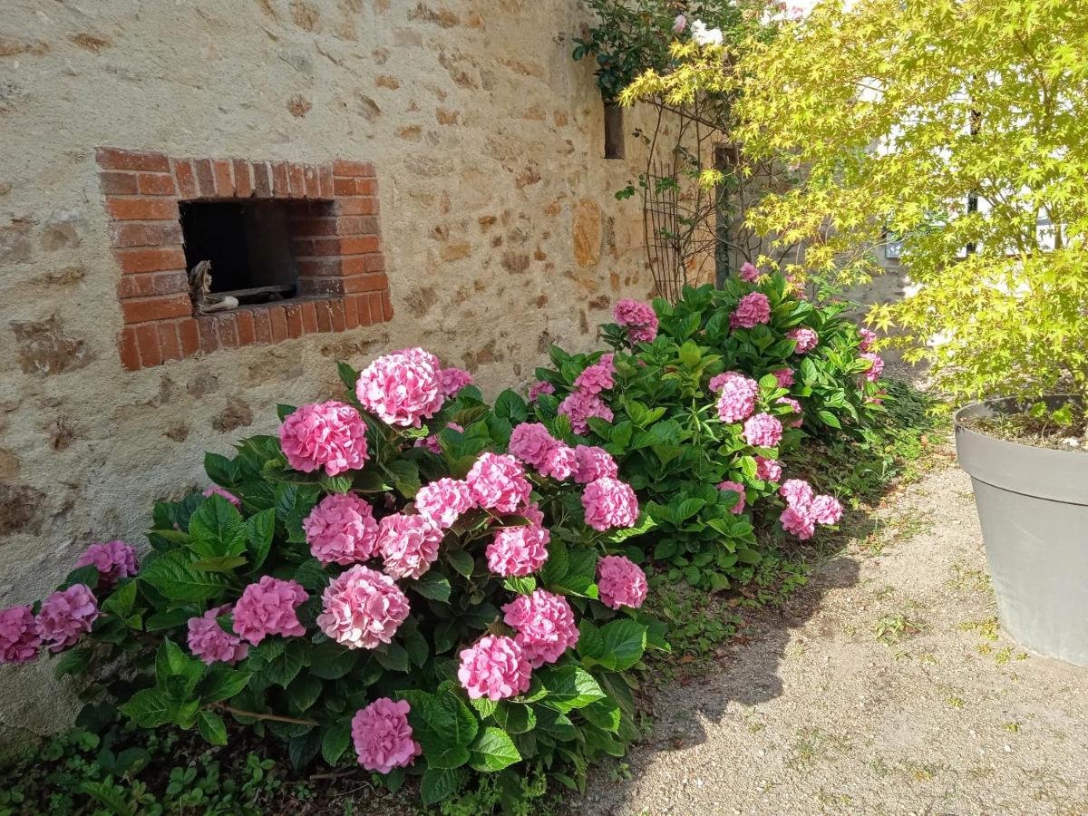 L'Amalgam' Bed & Breakfast Ainay-le-Vieil Dış mekan fotoğraf